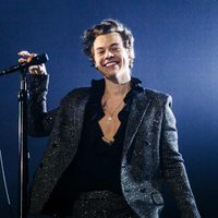 ¡Drama! ¿Qué le hizo Harry Styles a una fan?
