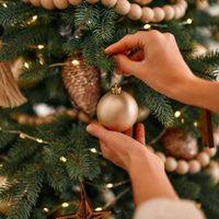 Nos adelantamos a la Navidad 2025: descubrí cómo usar el color ‘mocha mousse’ en tu decoración para crear espacios cálidos, elegantes y totalmente a la moda