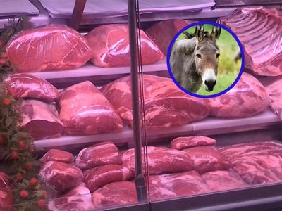 Polémica por la venta de carne de burro: la declaración del productor que impulsó esta iniciativa