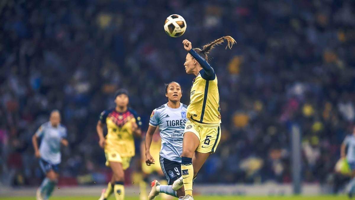 Dominio americanista