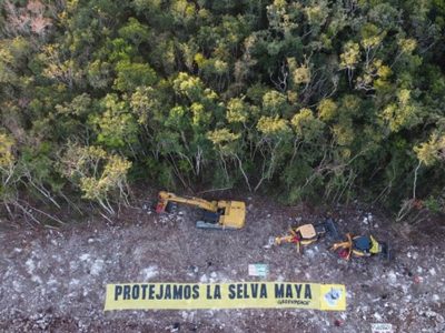 Ambientalistas frenan simbólicamente trabajos del tramo 5 del Tren Maya
