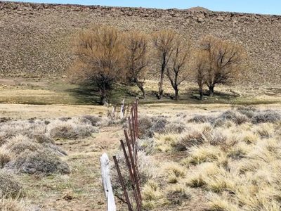 Neuquén pidió a Nación que declare la emergencia agropecuaria por sequía y otorgue beneficios impositivos