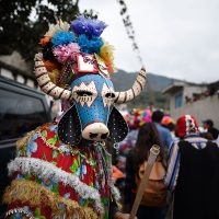 Diablos, vacas y jaguares en Coyolillo