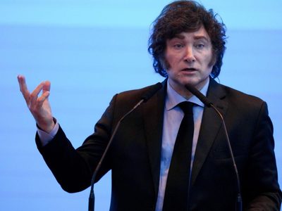 Milei preocupado por la concurrencia a las urnas