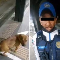 Policía que dio palazo a perro en el Metrobús es suspendido (Video)
