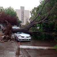 Tremendo tornado en La Pampa: estas son las imágenes más impactantes