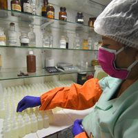 Un laboratorio especializado determinará si el pequeño Cuyen fue intoxicado