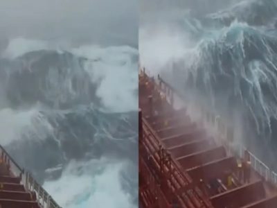 Tripulantes de barcos cargueros filman olas gigantes y las comparten en redes sociales