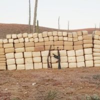 Ejecutan a ocho personas durante un día en Tijuana y decomisan mariguana en Ensenada