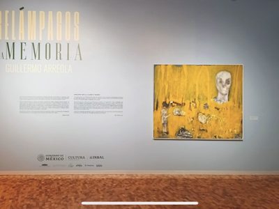 Diálogo sobre la obra “Relámpagos de la memoria” de Guillermo Arreola en el MAM