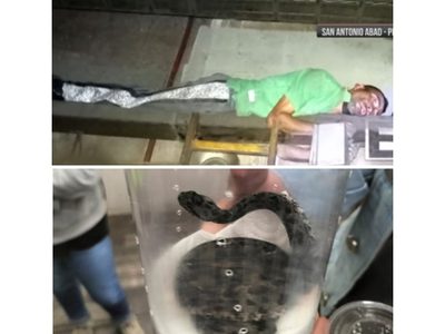 Metro de la CDMX: Ladrón de cables es detenido y una víbora cascabel fue decomisada