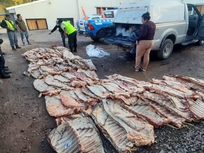 Decomisaron más de 60 costillares en Añelo