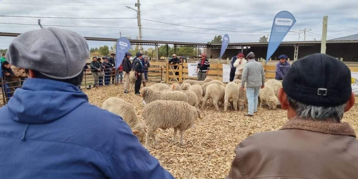 Feria Integral de la Producción en Zapala 2023. Fuente (Neuquén Informa)