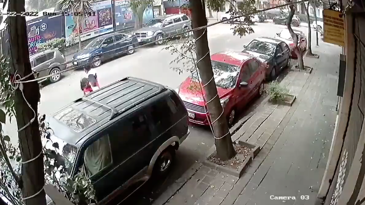 Momento previo a la caída del árbol