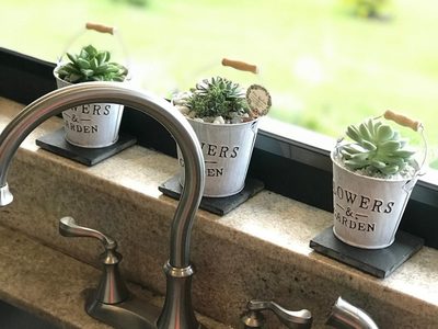 Suculentas: cuáles son las variedades más aconsejadas para tener en la cocina