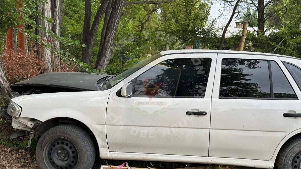 El hombre murió cerca del mediodía en el hospital de Plottier. Fuente: (Policía de Neuquén).