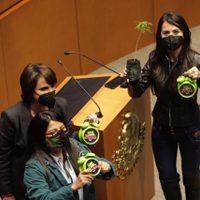 Senadores aprueban regulación del uso de la mariguana con fines recreativos