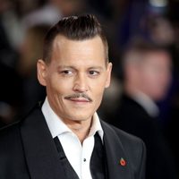 Una buena noticia llega a la vida de Johnny Depp, en medio de la disputa legal que tiene con su ex