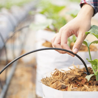 No tires las botellas de plástico: convertilas en regadores para tus plantas y olvidate de regar