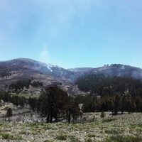Incendio en Aluminé: autoridades indicaron que bajó la intensidad del fuego