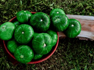 Aprovechá los zapallitos que están re baratos y hacete estas 3 recetas fáciles y económicas para salvar la semana