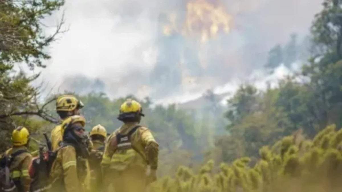 Recordaron que el próximo verano se anticipa seco y con un alto riesgo de incendios. Fuente: (Facebook)