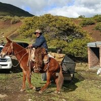 Vecinos de Las Ovejas pidieron reforzar los controles nocturnos en la Ruta Provincial 43,