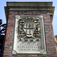 Trump apunta a terminar contratos federales con Harvard: ¿por qué arremete contra la universidad?