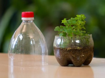 Con solo 1 botella plástica: el trucazo para mantener hidratadas tus plantas si te vas de vacaciones de verano