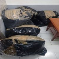 Decomisan 200 kilos de mariguana en un predio en Iztapalapa; hay seis detenidos
