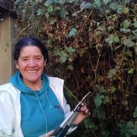 Una mujer desaparecida en Santa Cruz, eje de un escándalo en Diputados