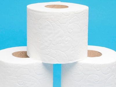 Solo con papel higiénico y esta increíble idea: el objeto decorativo que podés hacer para decorar o regalar