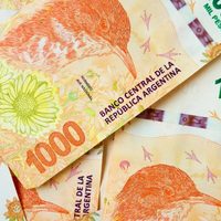 Billetes de 20 mil pesos: el nuevo proyecto de un diputado de Juntos por el Cambio
