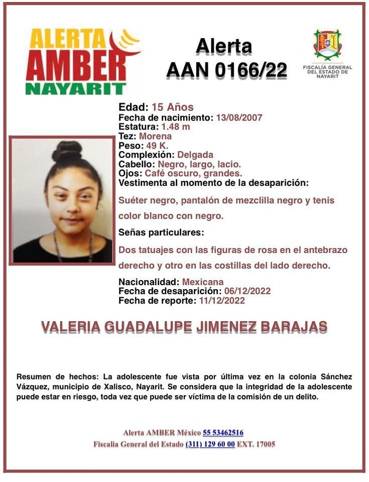 alerta2