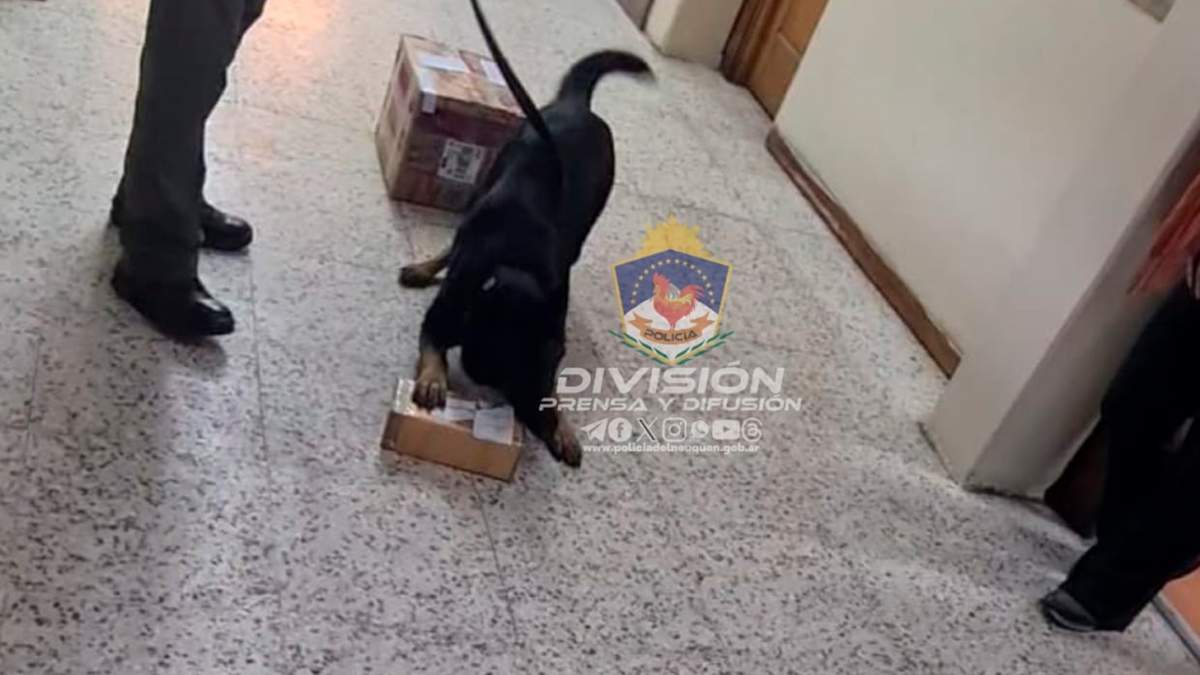 Bettina se sienta al lado del paquete sospechoso para dar aviso. Fuente: (Policía de Neuquén)
