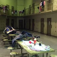 ¡Se reaviva la polémica! Exigen celeridad en los trámites para liberar presos