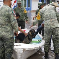 Consejo Técnico del IMSS se solidariza con habitantes de Tula y lamenta decesos