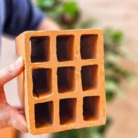 No subestimes esos ladrillos huecos que tenés en el patio: son un tesoro para reciclar y transformar tu hogar