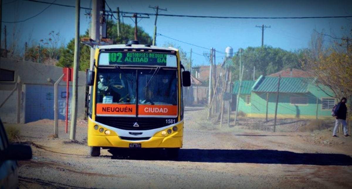 Colectivos Neuquén. Fuente: (Instagram)