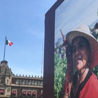 La Noche de los Rábanos oaxaqueña, en el Zócalo capitalino