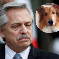 Polémica por el vuelo de Alberto Fernández con su perro Dylan