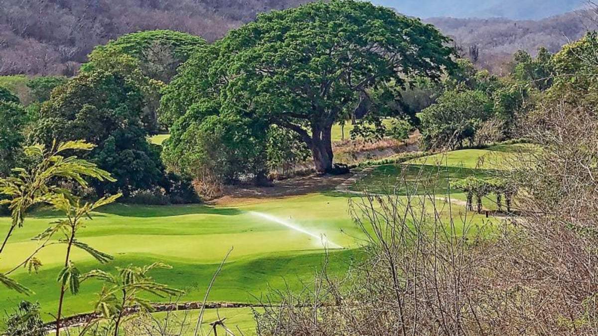 El Campo de Golf Tangolunda