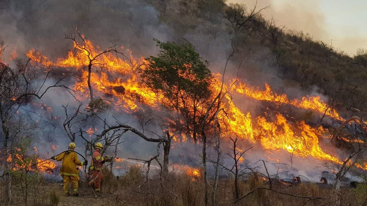 Incendios en Córdoba. Fuente: (Twitter)