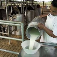 Se desplomó el consumo de leche, cayó un 20% respecto a 2015