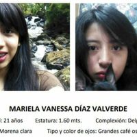 Mariela Vanessa, buscada con volanteo, rastreo perimetral, vía cibernética, en otras entidades…