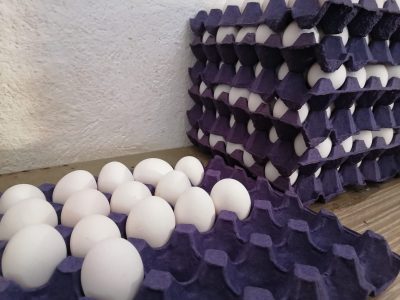 No tires el maple de huevos y creá esta original idea para la deco Navideña y sin gastar ni un peso
