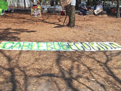Ecologistas reclaman por consulta a modo sobre cablebús en Puebla
