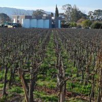 Lo que se viene: la experiencia del vino con realidad virtual y 3D