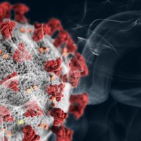 La forma molecular del Covid-19, SARS y MERS revela similitudes que sugieren posibles tratamientos