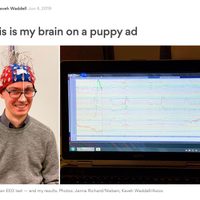 Anunciantes escanean el cerebro para vender mejor